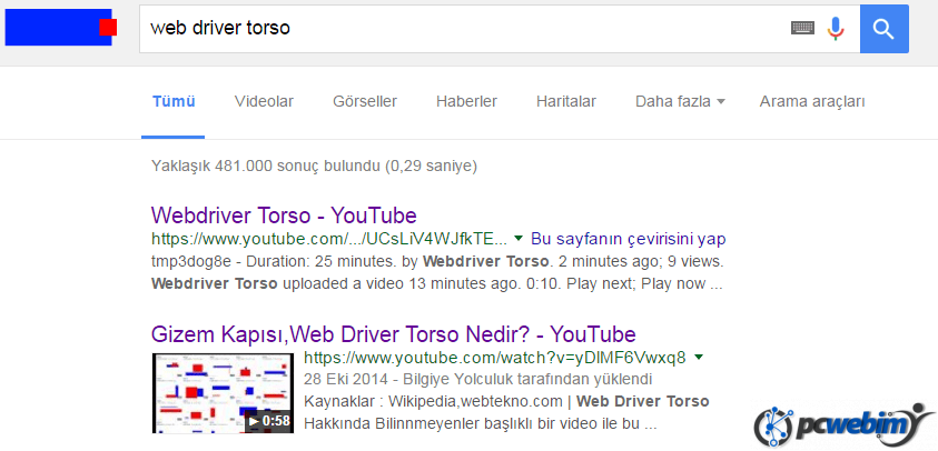webdrive torso google